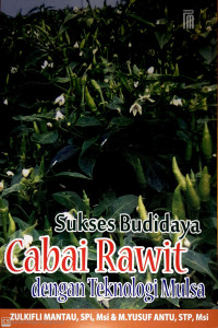 Sukses Budidaya Cabai Rawit dengan Teknologi Mulsa