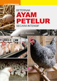 Beternak Ayam Petelur Secara Intensif