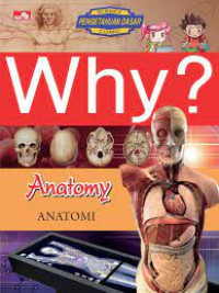 Why? Anatomy